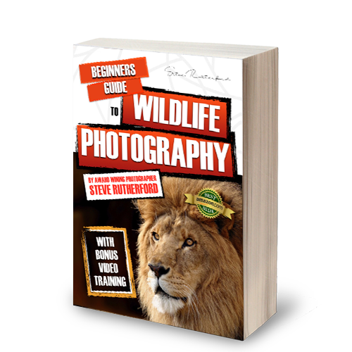 Steve Rutherford Photography Book Series